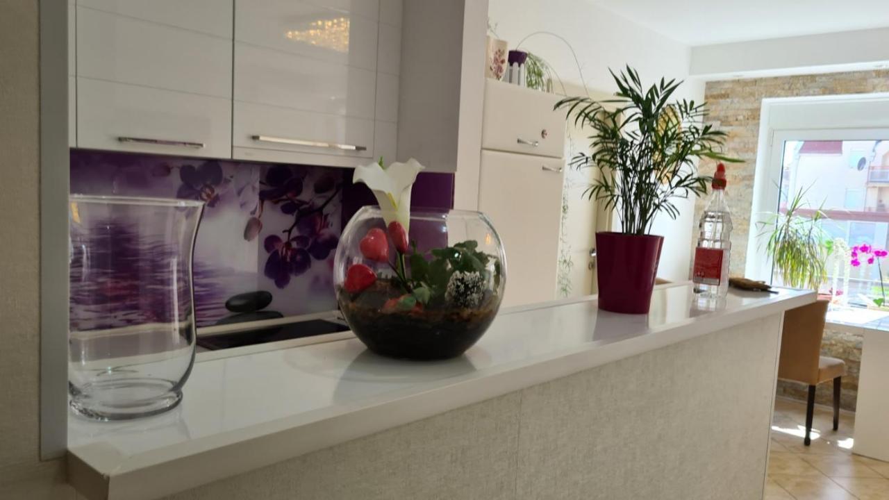 Apartman Anja Apartment Stara Pazova Exterior photo